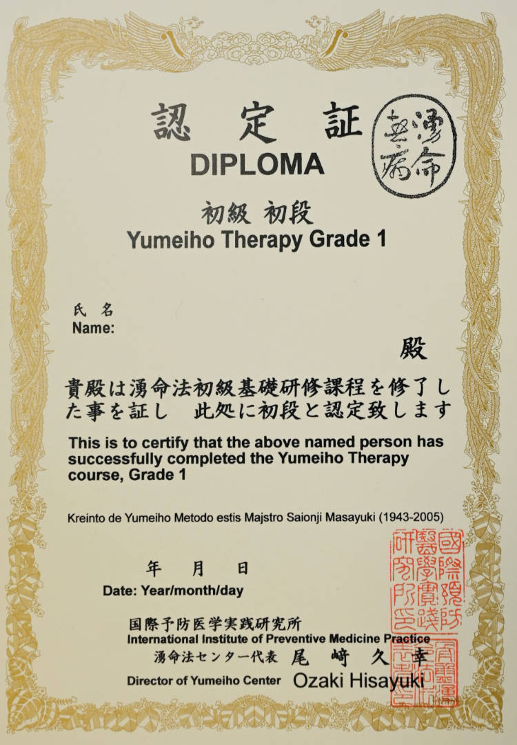 Yumeiho Dan 1 Diploma