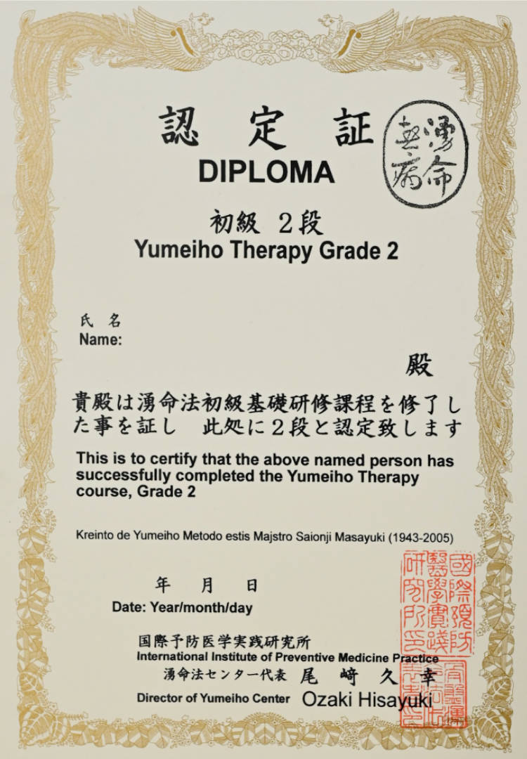 Yumeiho Dan 2 Diploma