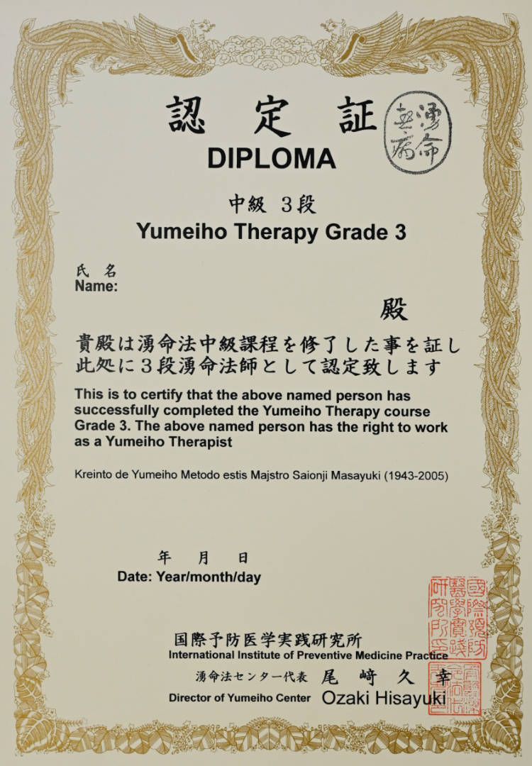 Yumeiho Dan 3 Diploma